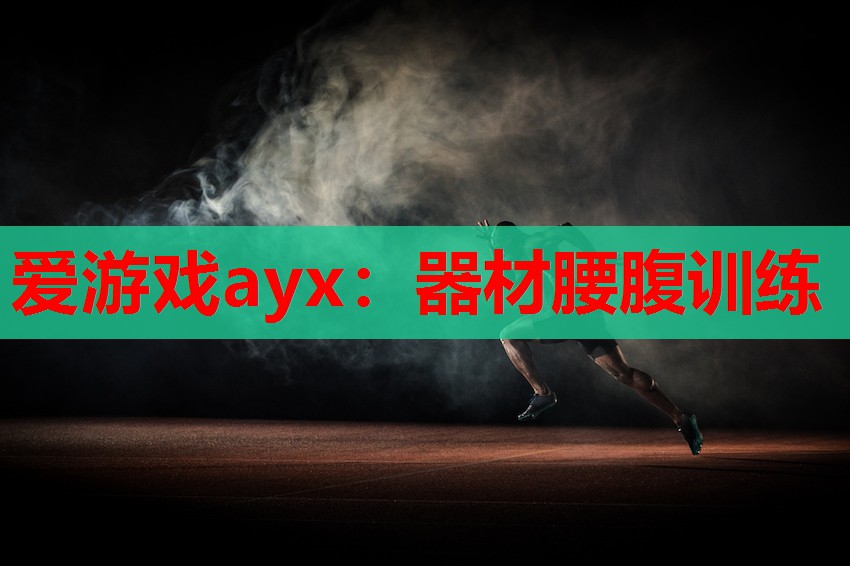 爱游戏ayx：器材腰腹训练