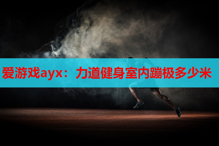 爱游戏ayx：力道健身室内蹦极多少米