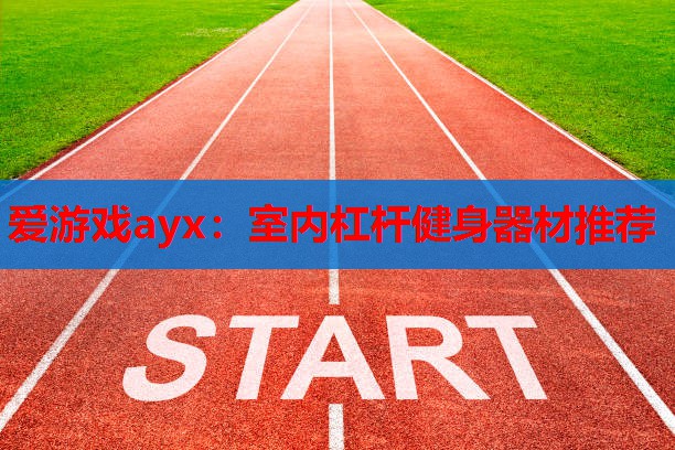 爱游戏ayx：室内杠杆健身器材推荐