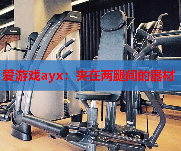 爱游戏ayx：夹在两腿间的器材