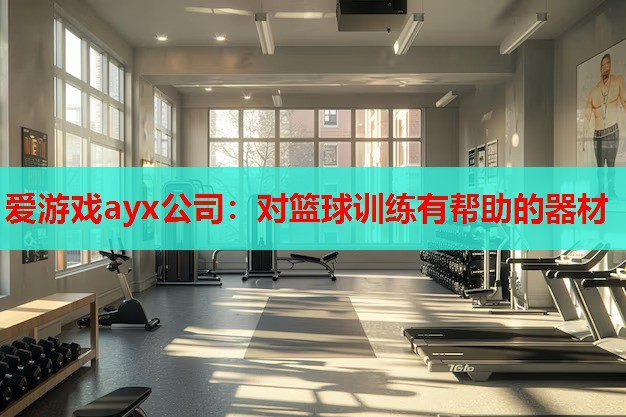 爱游戏ayx公司：对篮球训练有帮助的器材