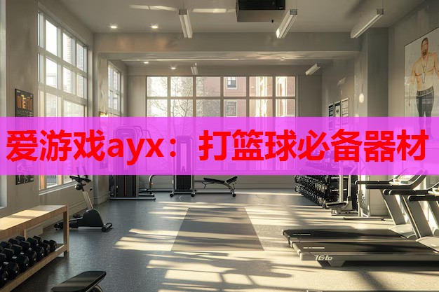 爱游戏ayx：打篮球必备器材