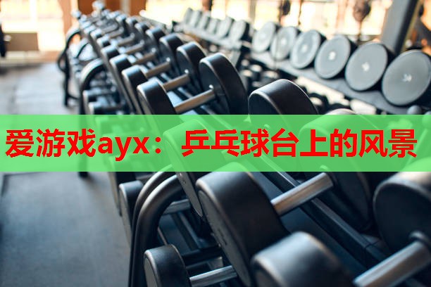 爱游戏ayx：乒乓球台上的风景