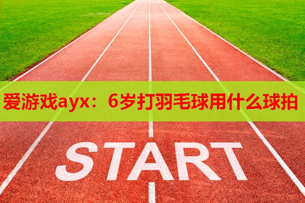 爱游戏ayx：6岁打羽毛球用什么球拍