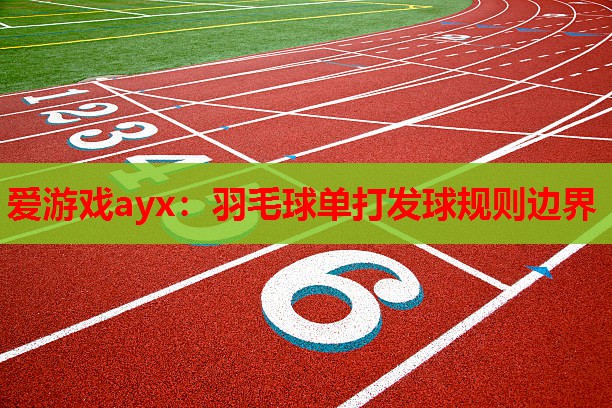 爱游戏ayx：羽毛球单打发球规则边界