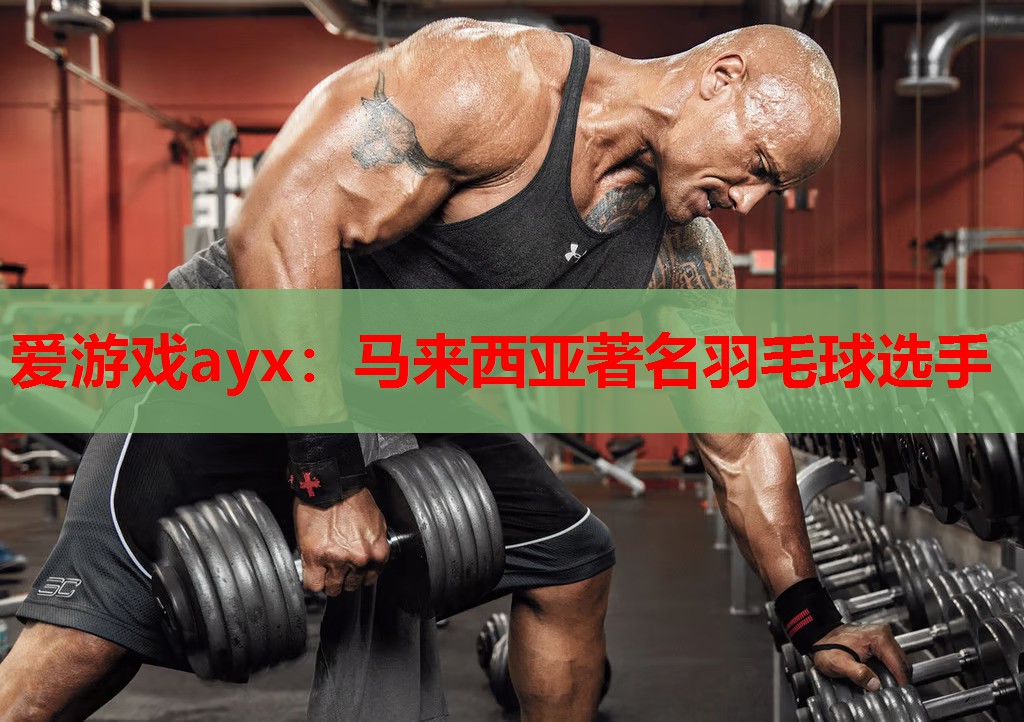 爱游戏ayx：马来西亚著名羽毛球选手