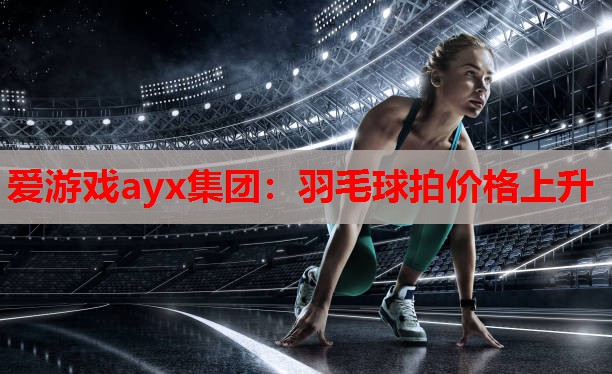 爱游戏ayx集团：羽毛球拍价格上升