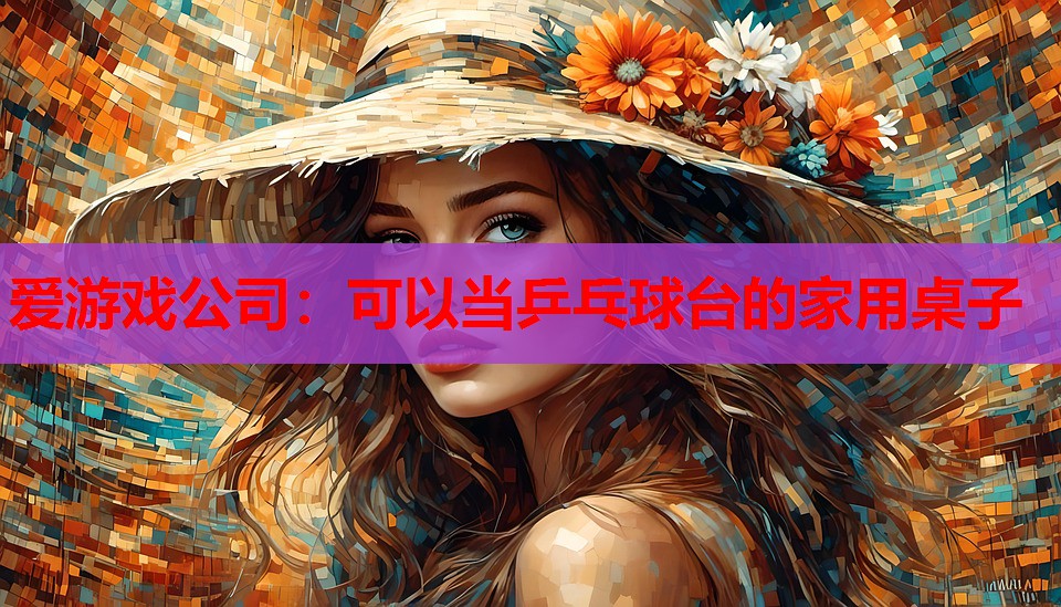 可以当乒乓球台的家用桌子