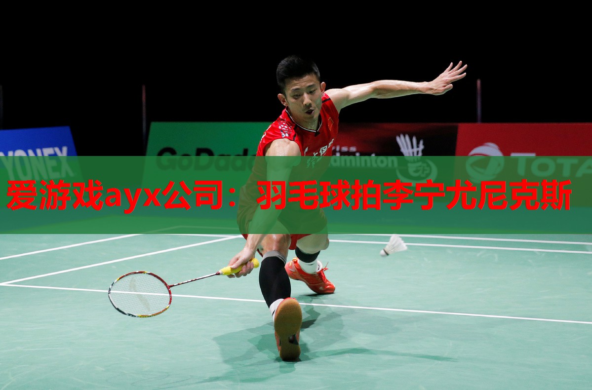 羽毛球拍李宁尤尼克斯