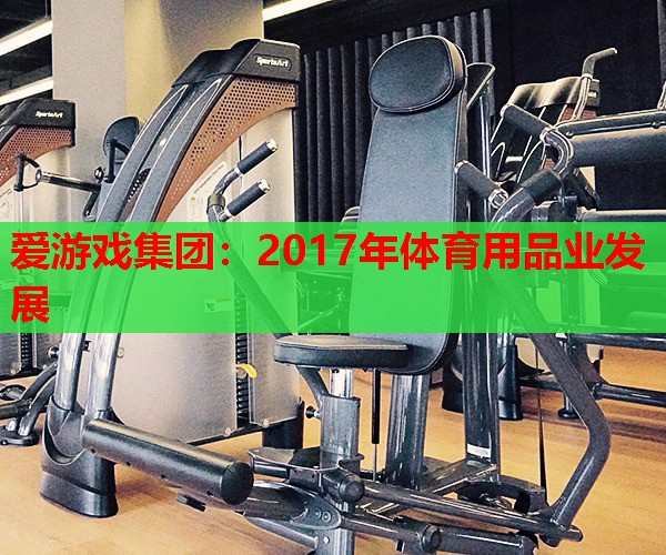 2017年体育用品业发展